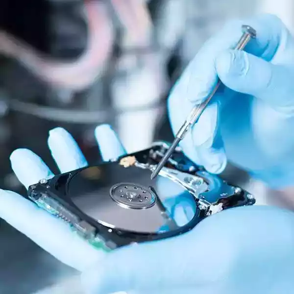 Graphic illustrating professional Data Recovery Services for lost or sensitive data in Whakatane